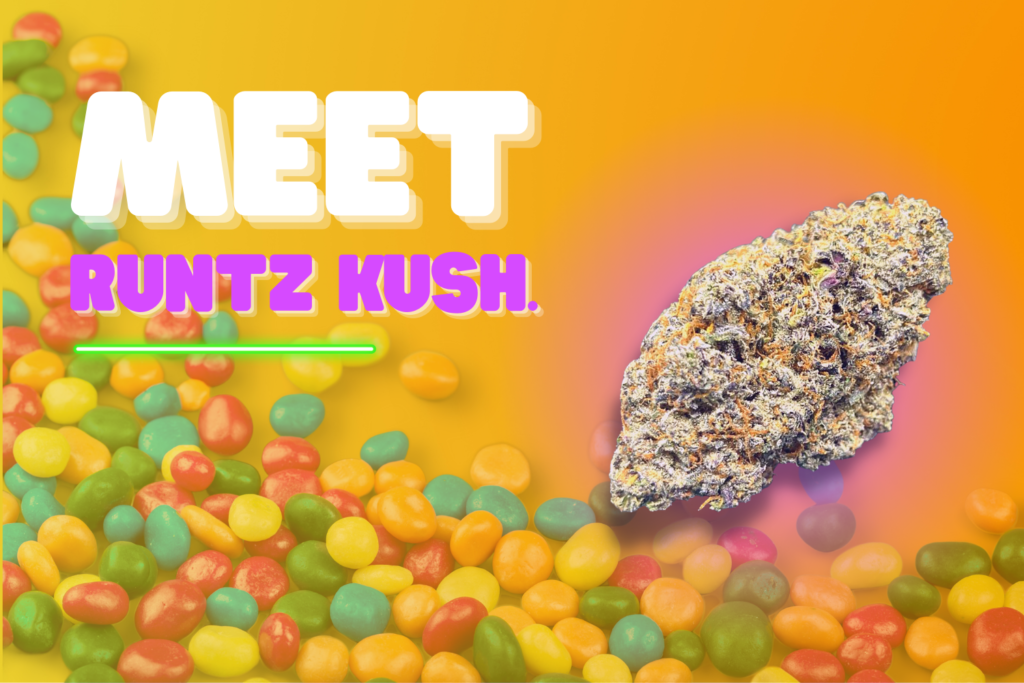 runtz kush quad indica weed same day delivery near me