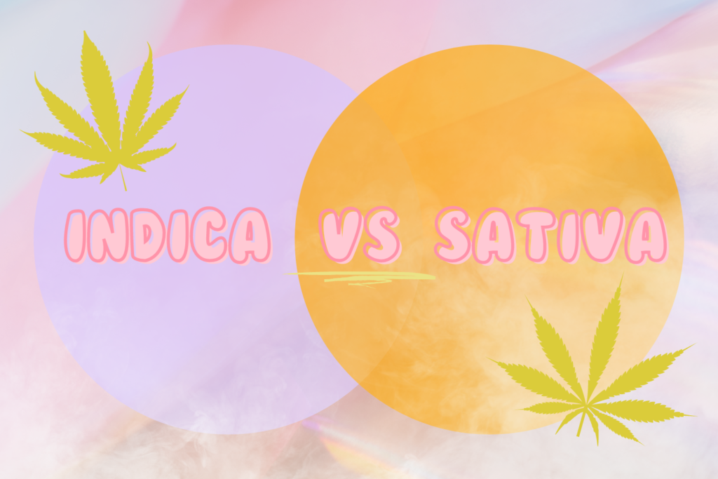 indica v sativa best same day weed delivery near me ontario