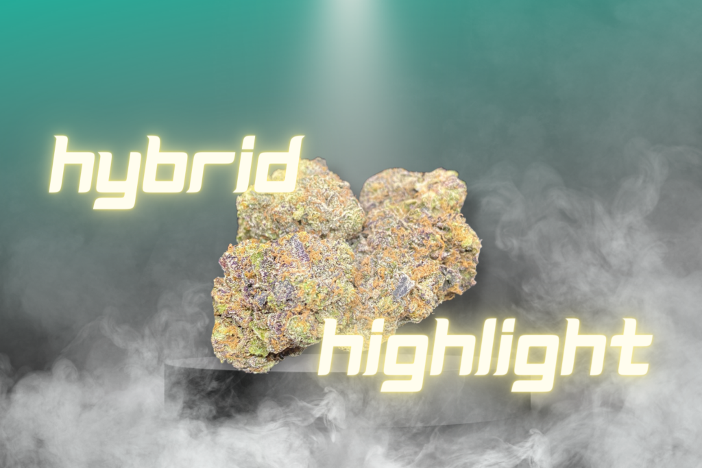 hybrid strain best same day weed delivery near me ontario