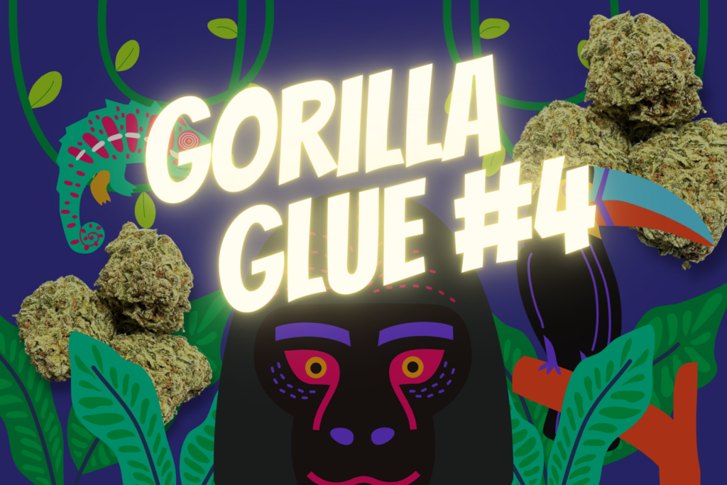 gorilla glue #4 available for weed delivery tri city ontario