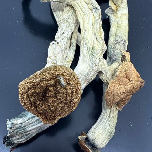 B+ mushrooms best same day weed delivery near me ontario canada