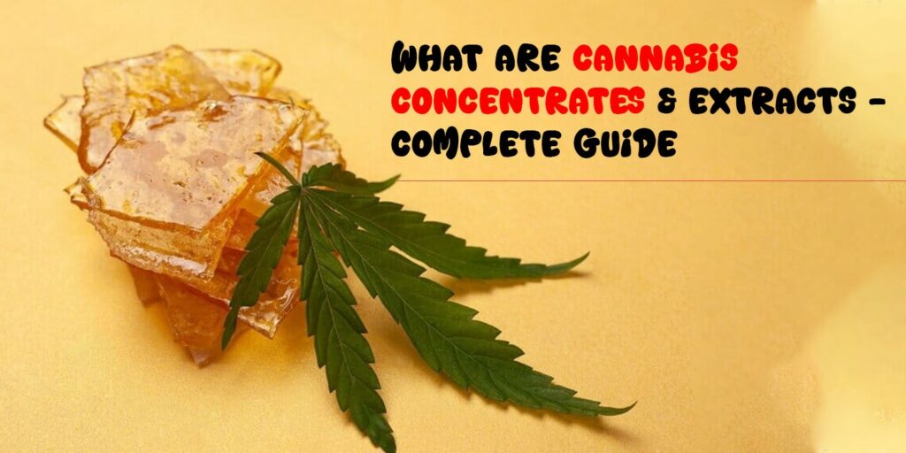 Cannabis Concentrates & Extracts