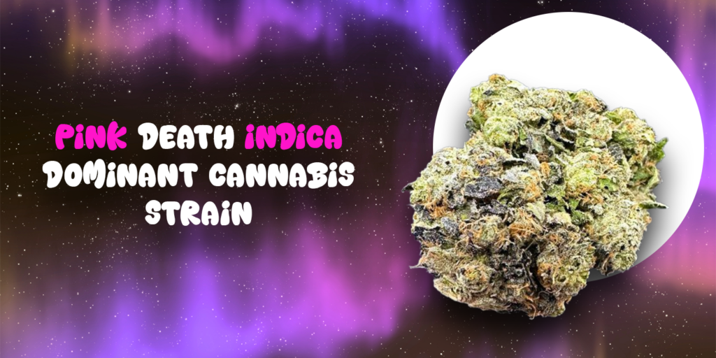 Pink Death Indica