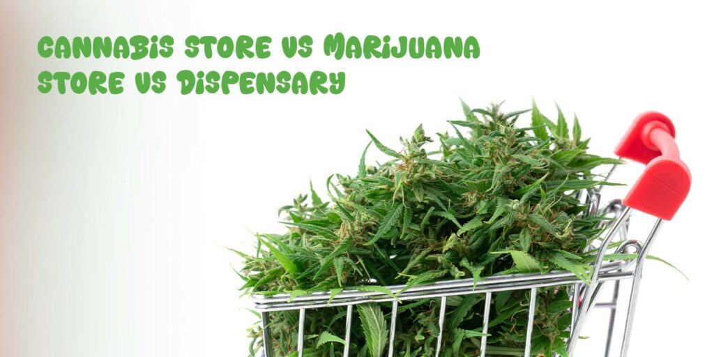 Cannabis Store