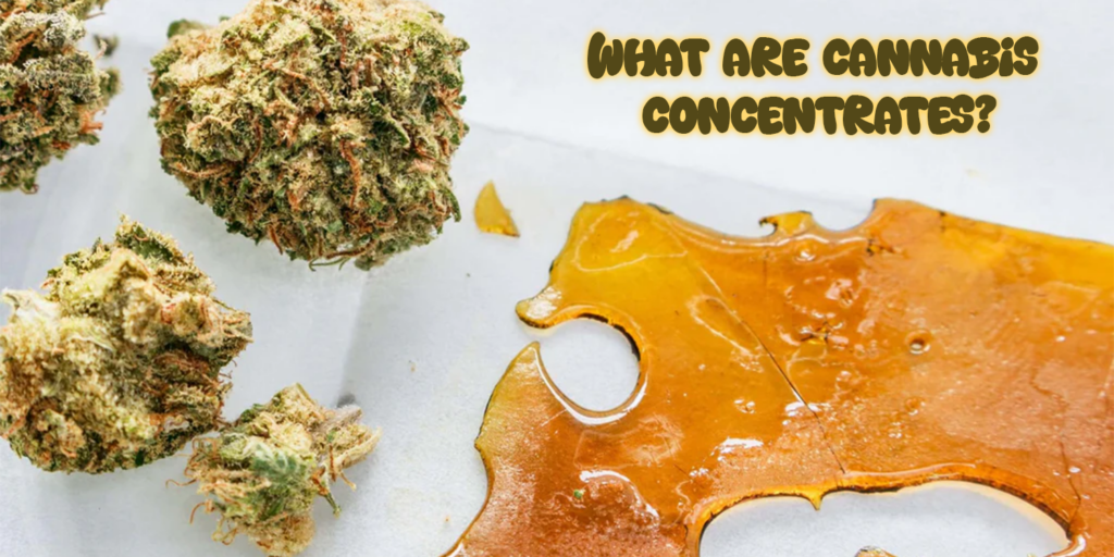 buy weed concentrate