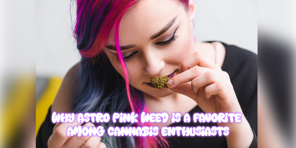 Astro pink weed