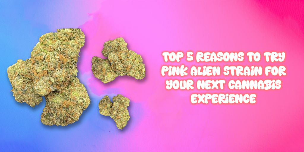 Pink Alien Strain