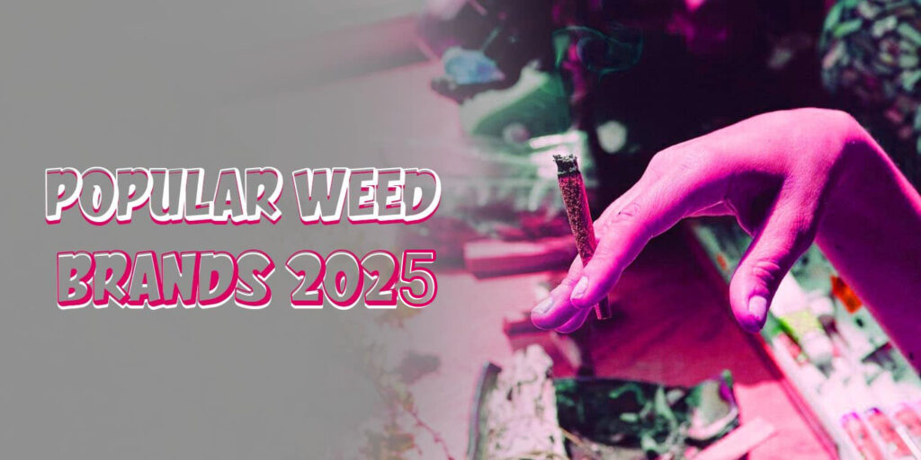 Weed Brands 2025