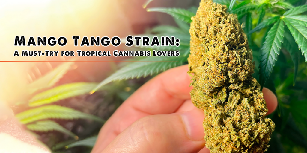 mango tango strain