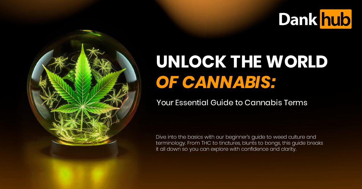 A Beginner’s Guide to Weed Culture and Terms