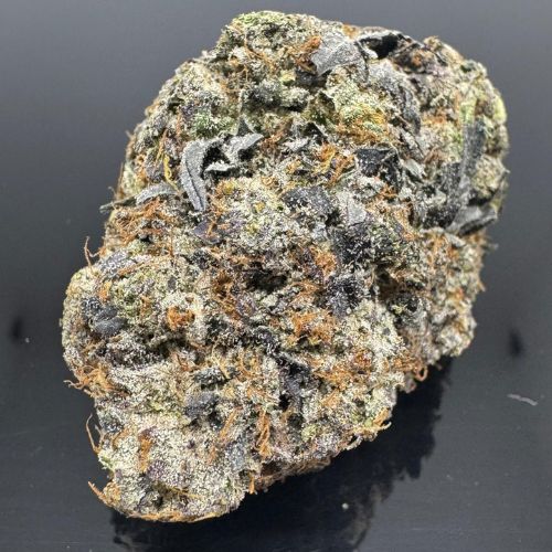 motor milk new batch best same day weed delivery near me ontario canada