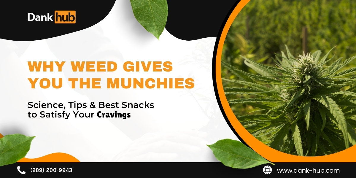 Munchies