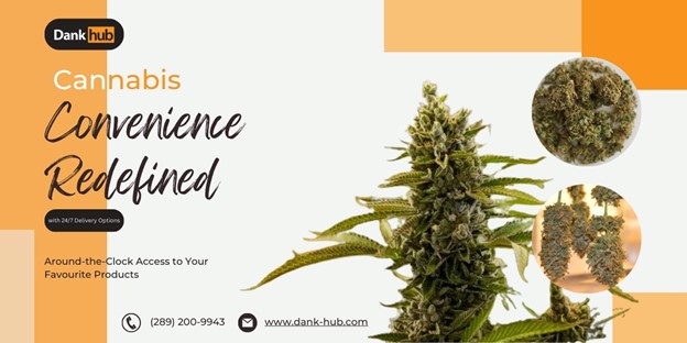 Cannabis Convenience Redefined with 24/7 Delivery Options