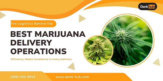 The Logistics Behind the Best Marijuana Delivery Operations