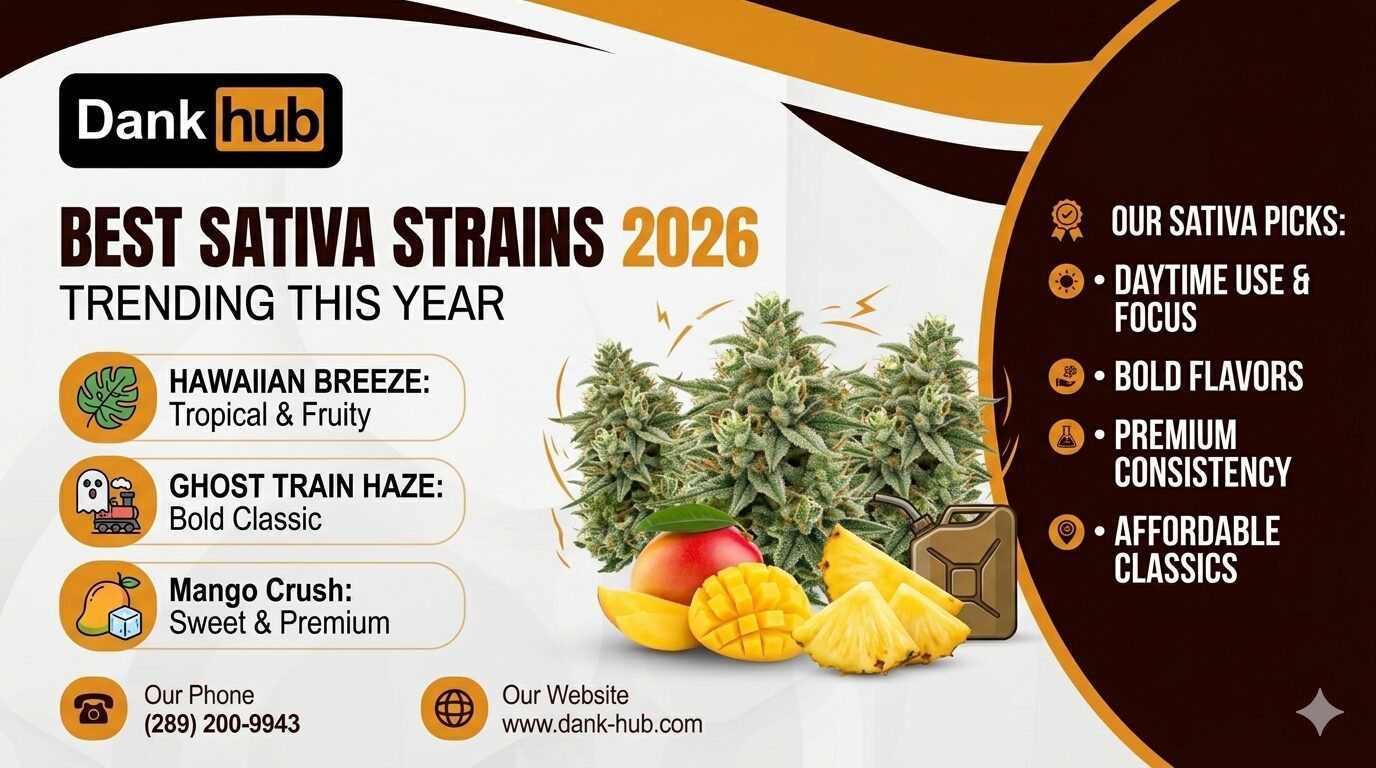 Best Sativa Strains for 2026 What’s Trending This Year blog banner