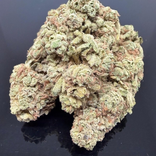 golden crisp sativa