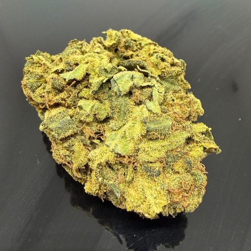 jack herer new sativa