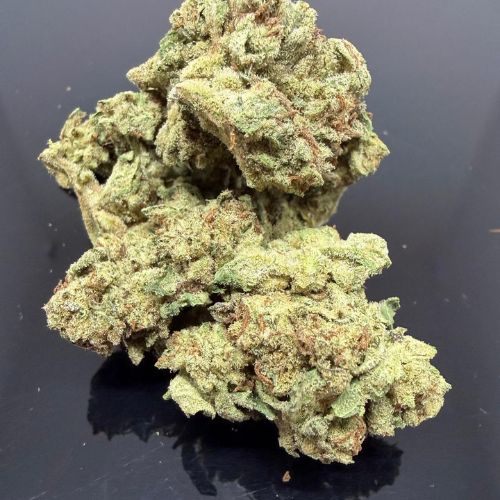 northern lights weed strain new