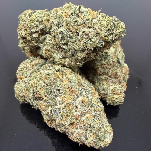 pink tuna new indica
