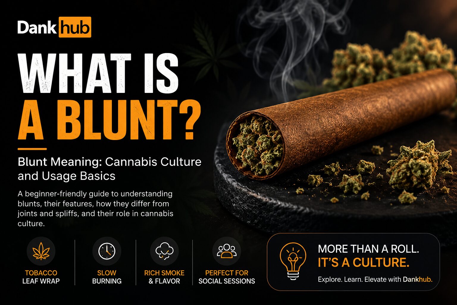 Things Beginners Should Know Before Trying a Blunt