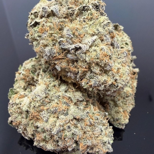 frosted gumbo new