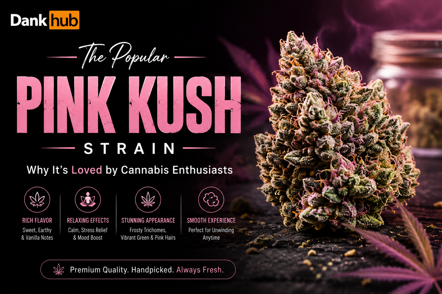 Pink Kush Strain Effects, Flavor & Why It’s Popular