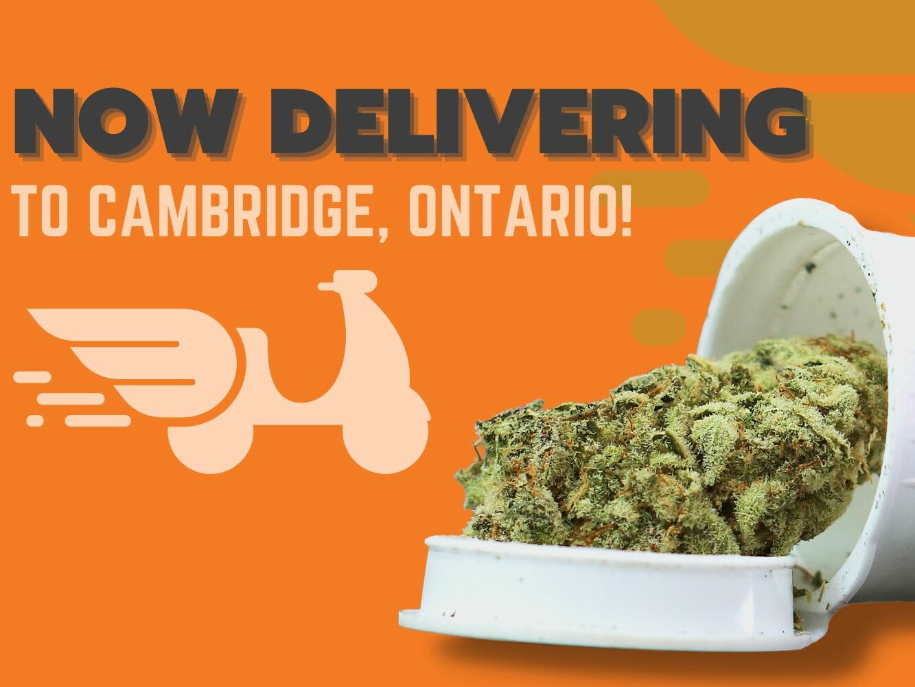 same day weed delivery in cambridge ontario